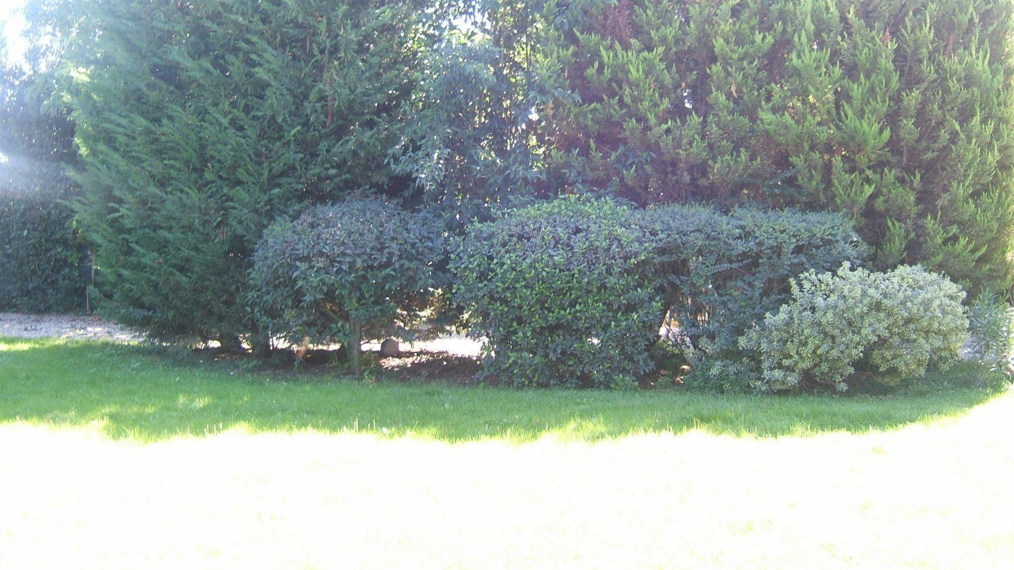 Locanda Canareggio San Biagio di Callalta Dış mekan fotoğraf